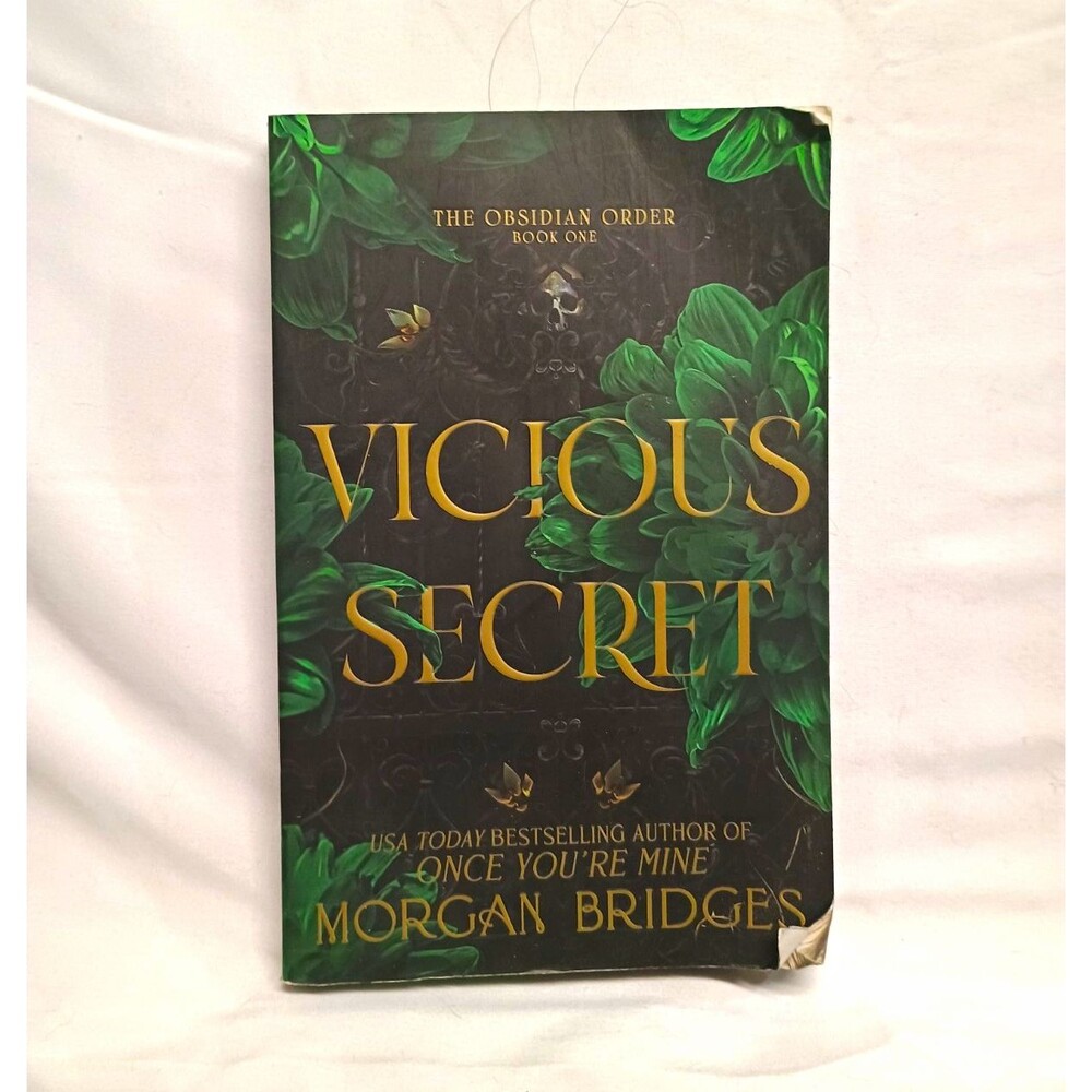 Vicious Secret by Morgan Bridges Paperback Romance Novel The Obsidian Order